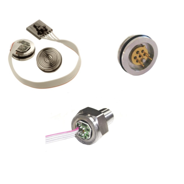 82�͵͉�����������